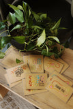 Thank You Variety Pack - 10 Greeting Cards